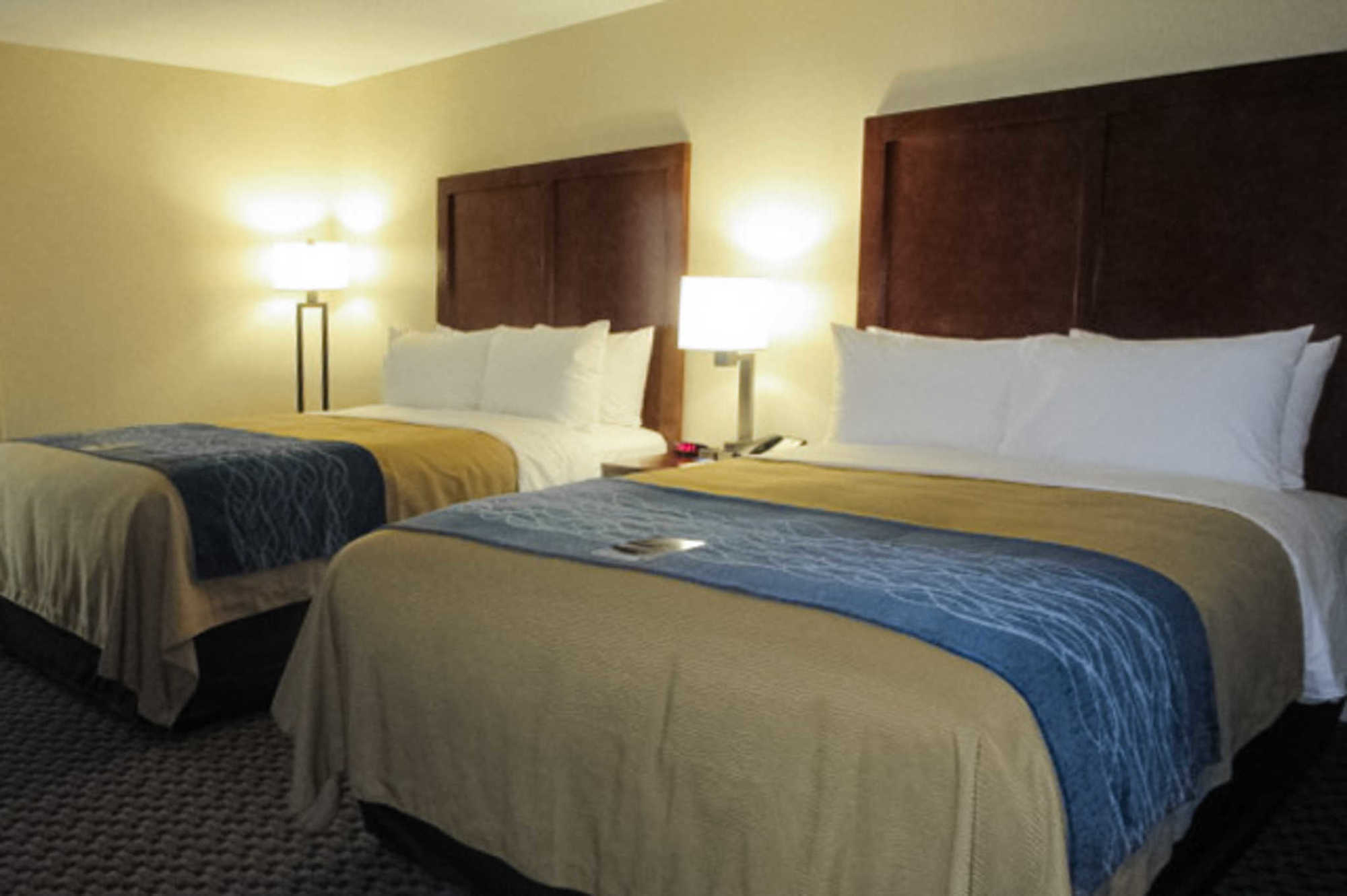 Comfort Inn Edwardsville - St Louis Oda fotoğraf