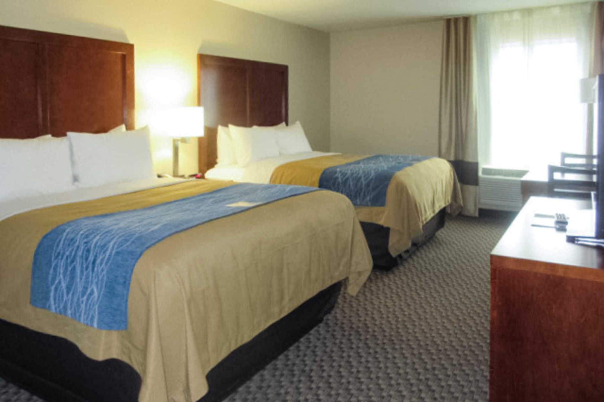 Comfort Inn Edwardsville - St Louis Oda fotoğraf